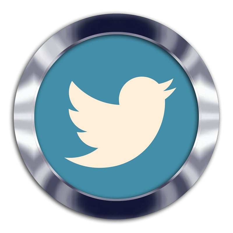 Twitter Logo
